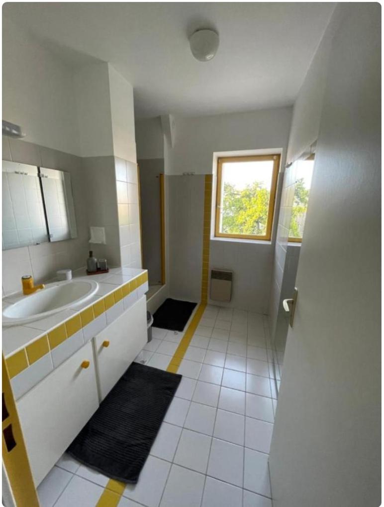 פואטייה Grand Appartement Hypercentre Avec Terrasse Et Parking מראה חיצוני תמונה